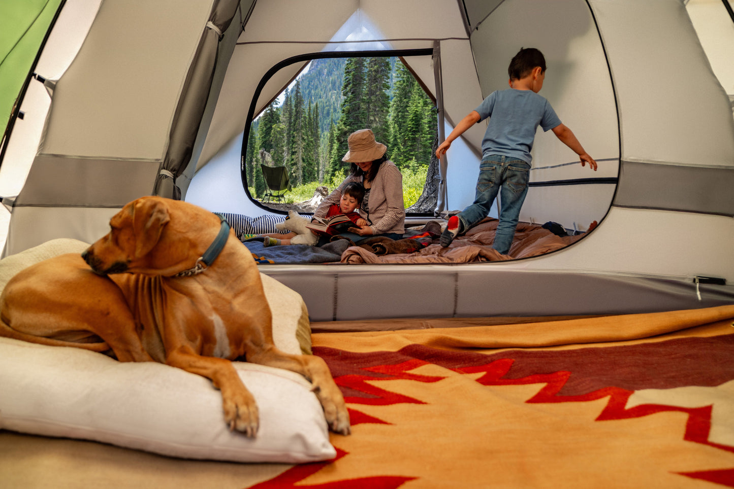 THE Dome Tent