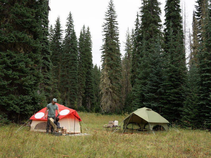 Kinoko Mushroom Tent